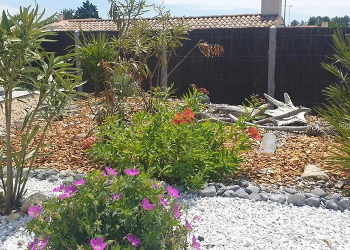 La Perséide - Maison Neuve 900 M Notre-Dame-de-Monts